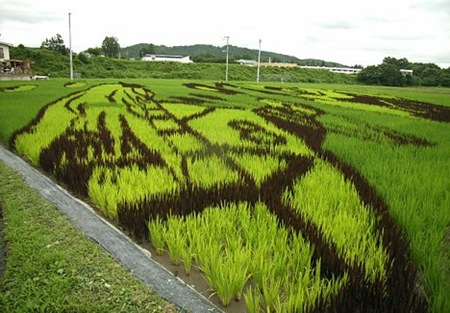The Amazing Rice Paddy Art of Japan | Amusing Planet